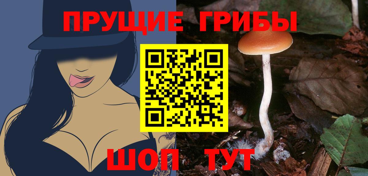 Псилоцибиновые грибы Cubensis Алексеевка